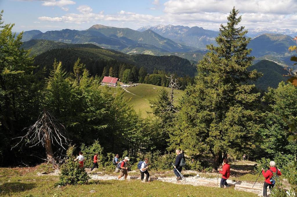 Apartmaji Srnca Cerkno Exterior photo