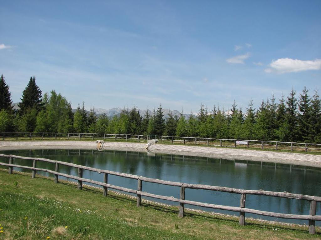 Apartmaji Srnca Cerkno Exterior photo